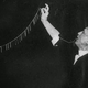 Illustration for article titled The Secrets Behind Harry Houdini’s Ten Greatest Illusions